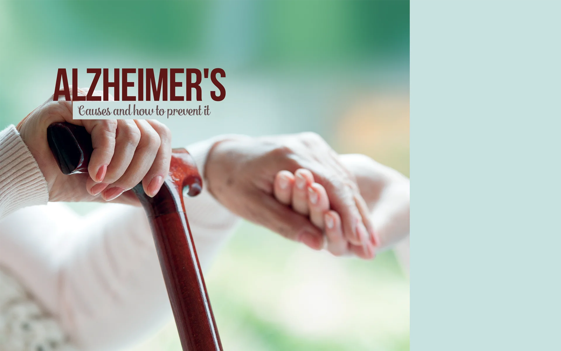 Alzheimer’s: Causes and How to Prevent It